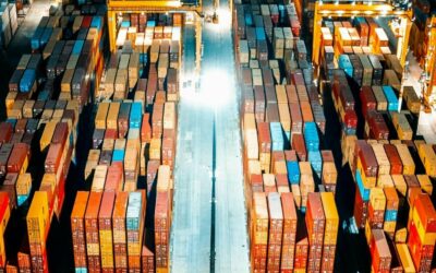 Desembaraço Aduaneiro: empresas OEA ganham agilidade e flexibilidade