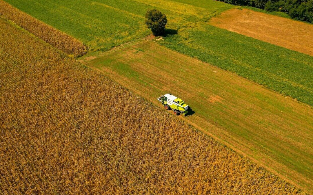 Reforma Tributária: como o agronegócio pode pagar menos impostos