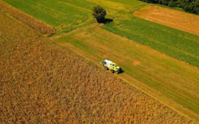 Reforma Tributária: como o agronegócio pode pagar menos impostos
