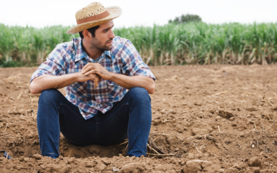 Governo propõe nova regra para dívidas do agro