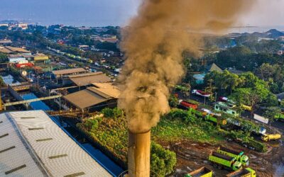 Política industrial: o que o Brasil deveria fazer (e ainda não fez)