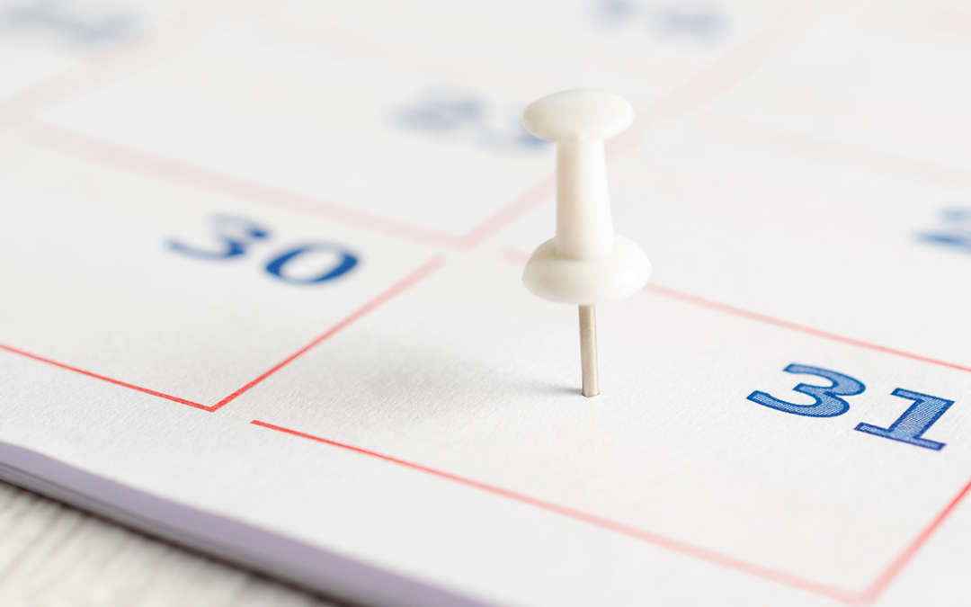Agosto não terá feriados nacionais; veja as folgas regionais