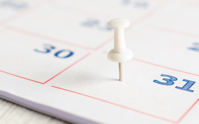 Agosto não terá feriados nacionais; veja as folgas regionais